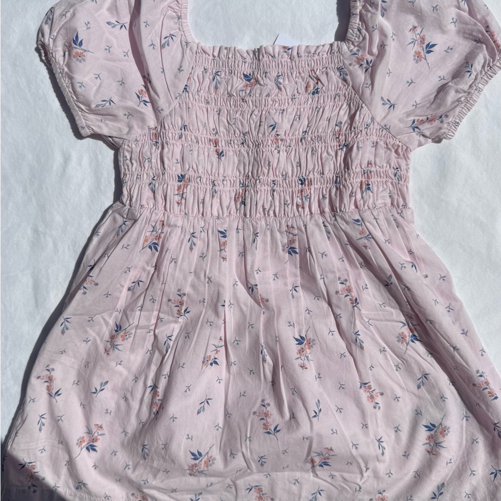 Baby GAP Pink Smocked Dress